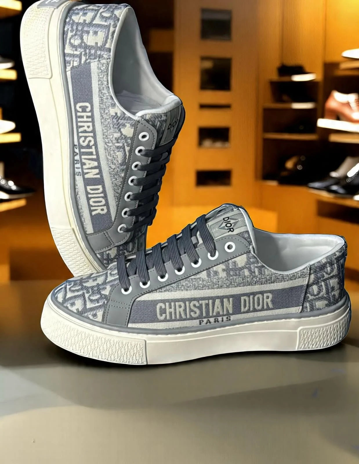 Di_or Can_vas Low Sneakers