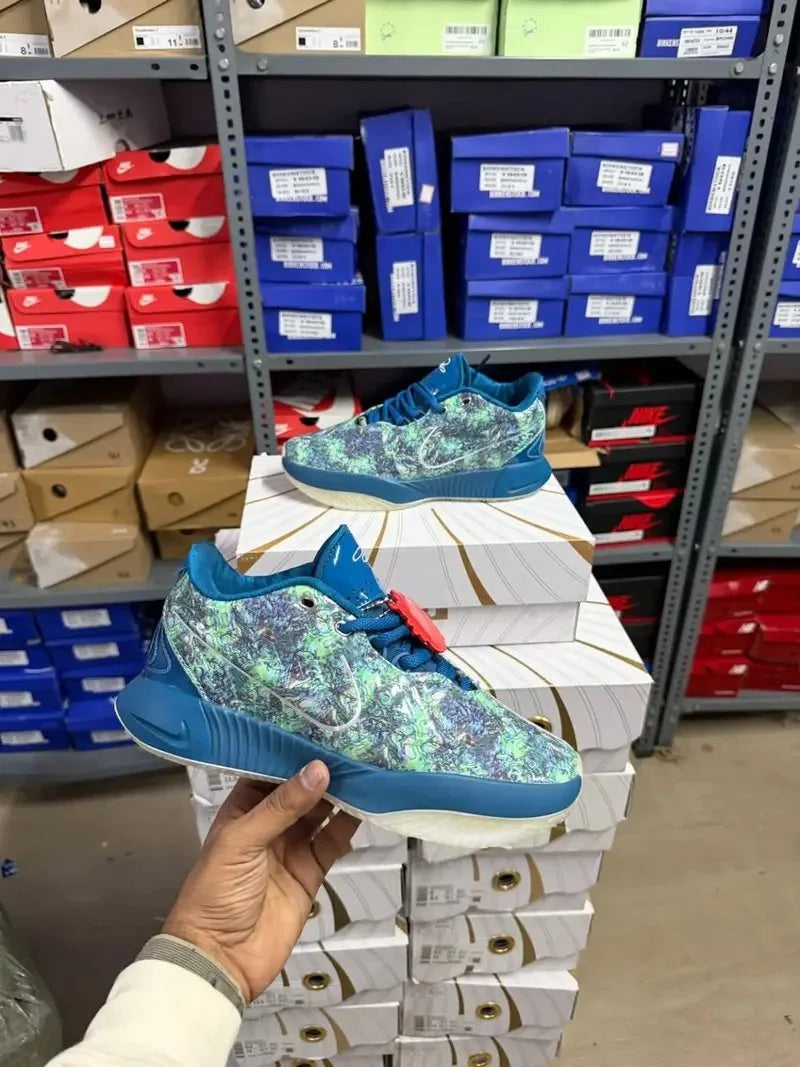 N_ike LeBron Basketball shoes